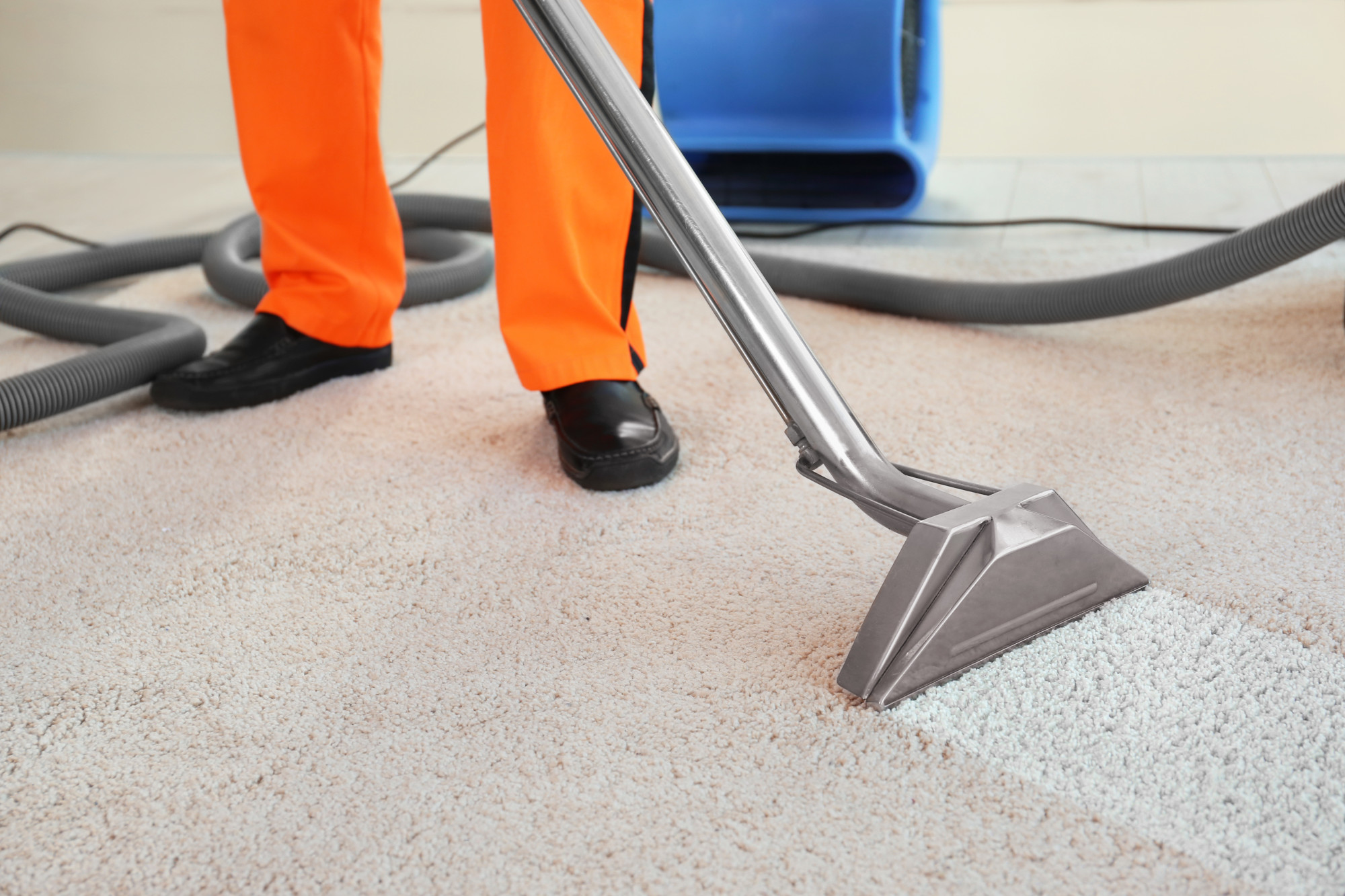 Industrial-Grade Disinfection Image